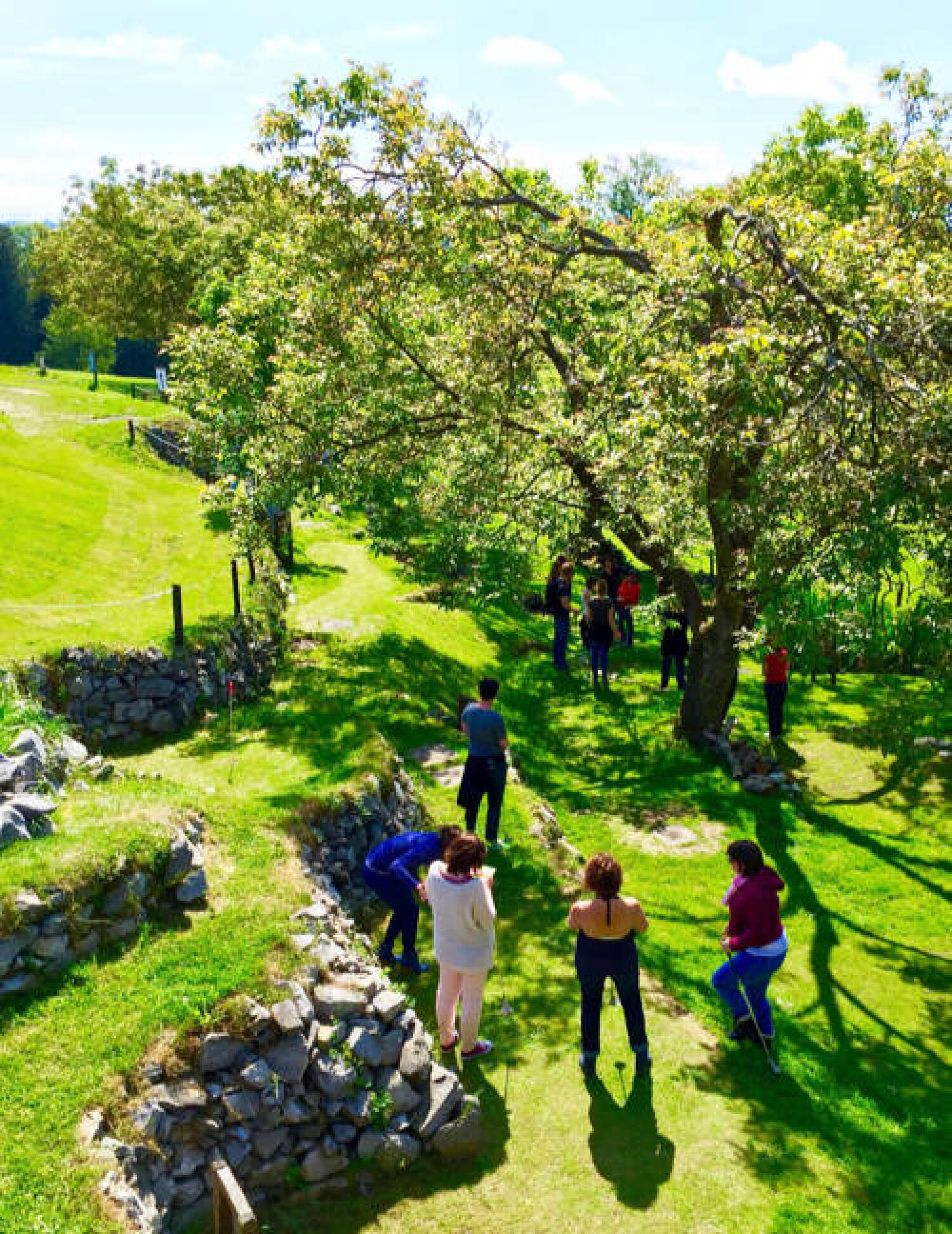 Minigolf sur herbe