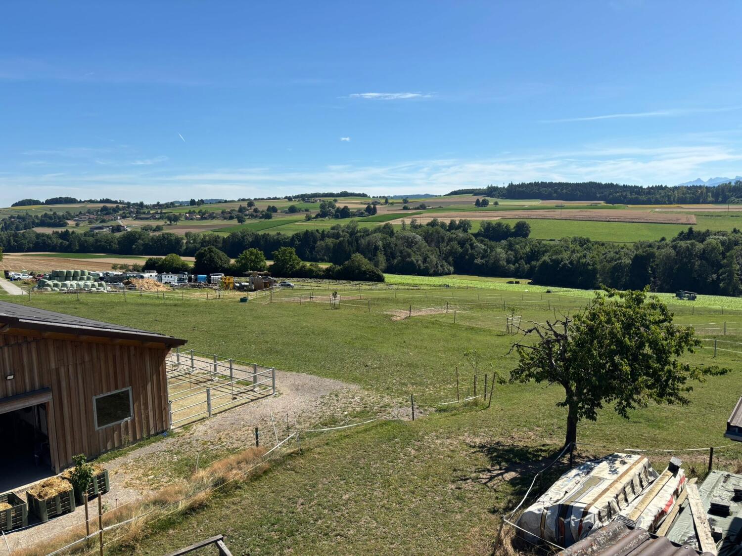 Domaine du Gallien