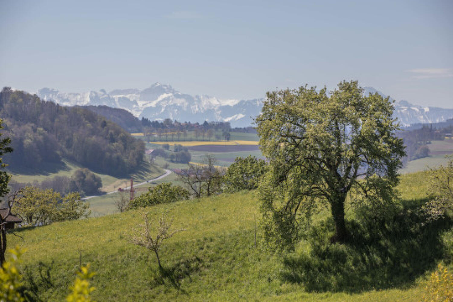 De la Terre à l’Artiste