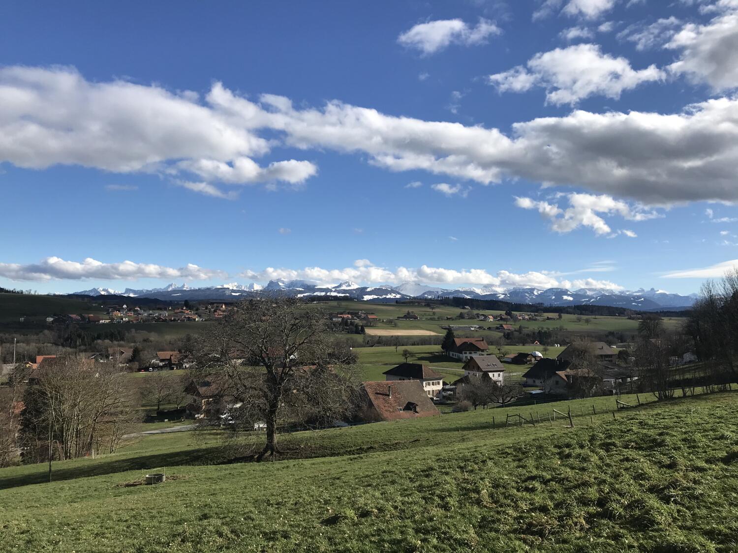 À l’horizon