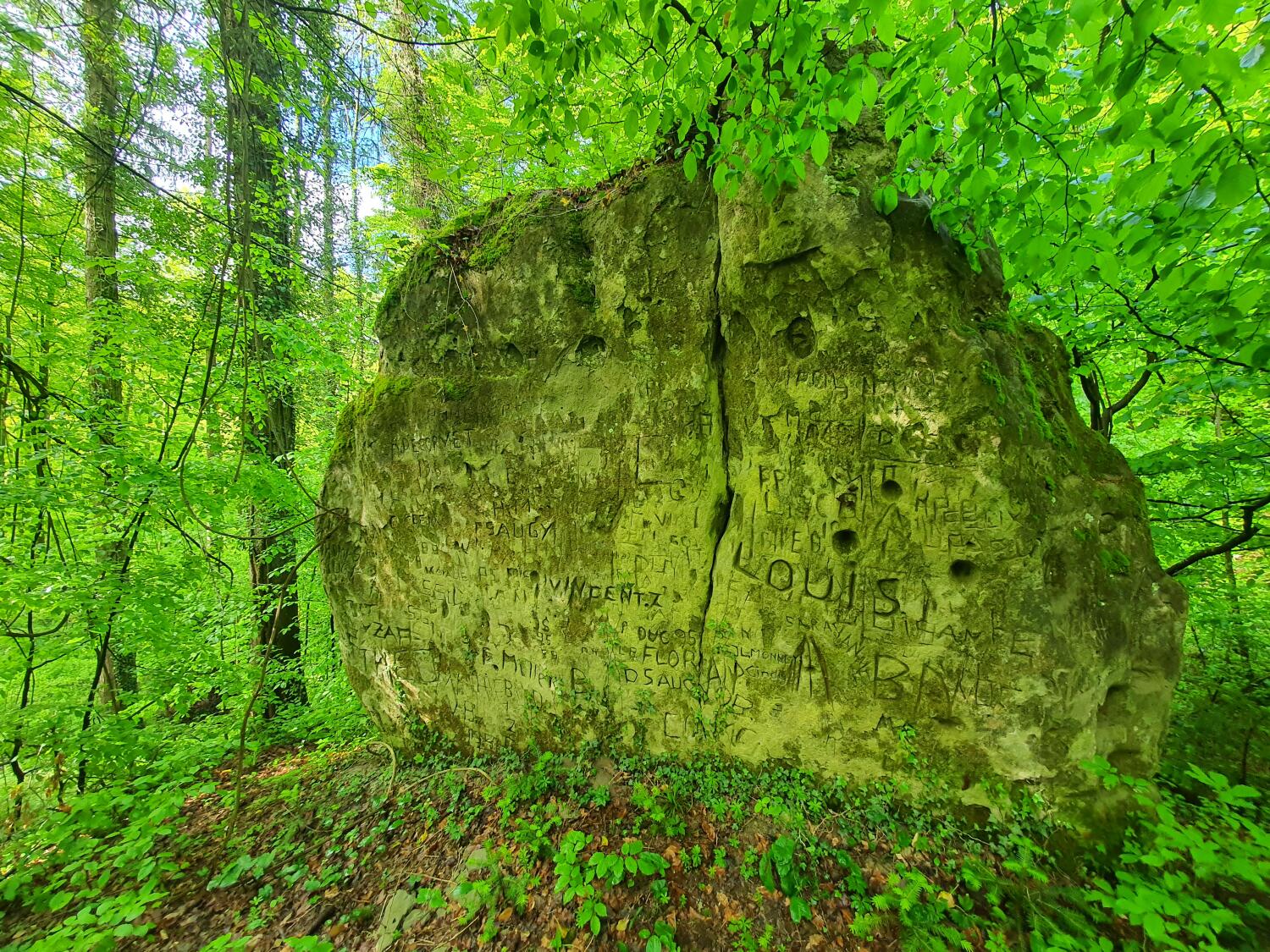 Sentier N° 2 – La Pierre à Sapenard