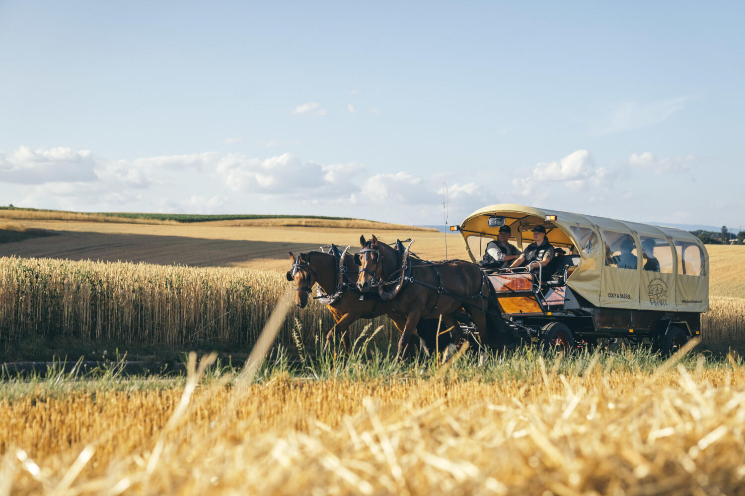 Char à fondue
